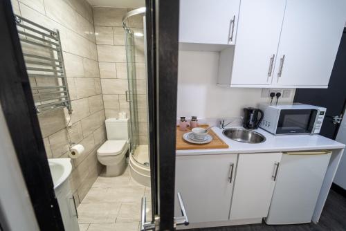 Studio available close to Queen Elizabeth Hospital, Birmingham (fotografie 3)