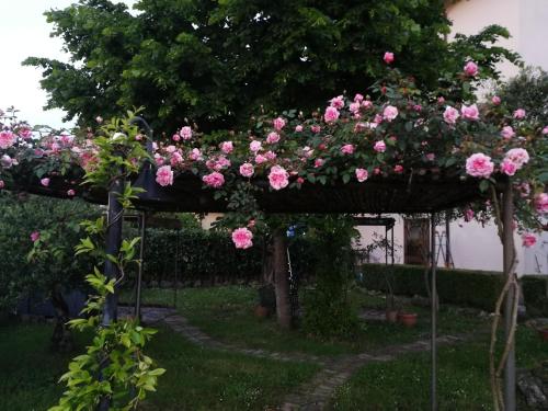 Happy Family B&B in Viggianello