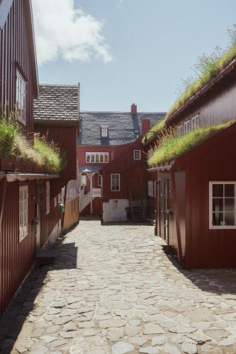 Діяльність, Tórsgøta Guesthouse - In The Heart Of Tórshavn (Torsgøta Guesthouse - In The Heart Of Torshavn) in Торсхавн