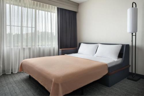 1 king bed, 1 sofa bed