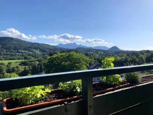 Cozy Apartment with a wonderful Panoramic View