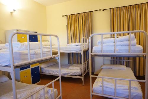 Mixed Dormitory Room