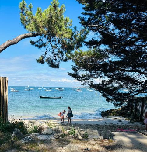 Belle maison avec piscine plein centre Cap Ferret