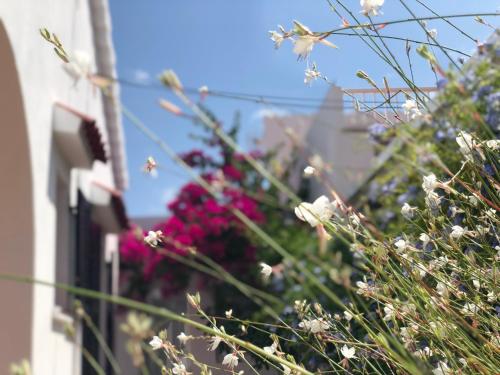 Habitación con baño y jardín privado en Casa Típica Ciutadella centro 4
