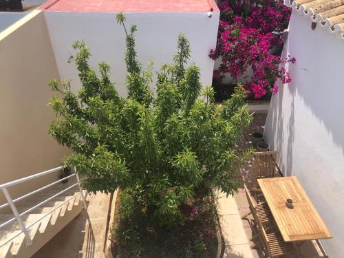 Habitación con baño y jardín privado en Casa Típica Ciutadella centro 3