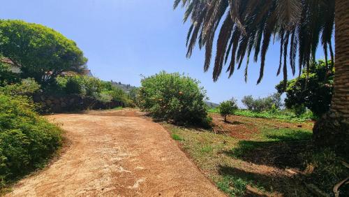 El Jócamo