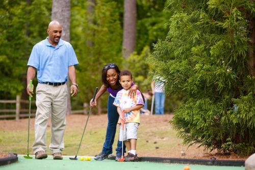 Stone Mountain Inn - image 5