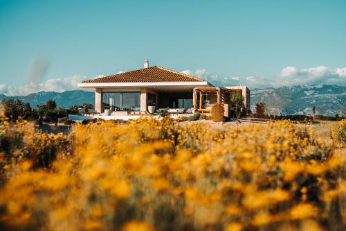 Luxury villas on Island Pag - Plant Villas Novalja