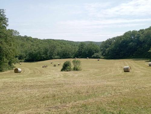 Gîtes Périgord Rocamadour Sarlat Gourdon naturiste de juin à sept