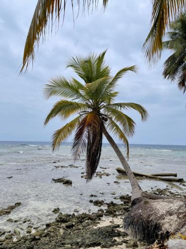 Konsenda San Blas in Cerro Azul