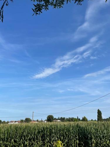 B&B Il Melograno 3