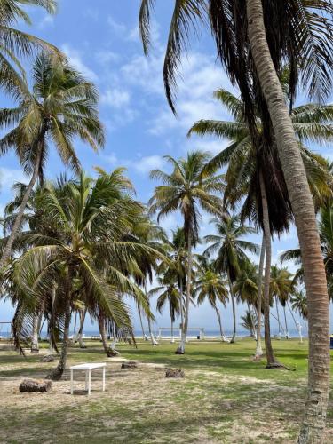 Konsenda San Blas in Cerro Azul