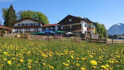 Landhotel Alphorn - Hotel - Ofterschwang