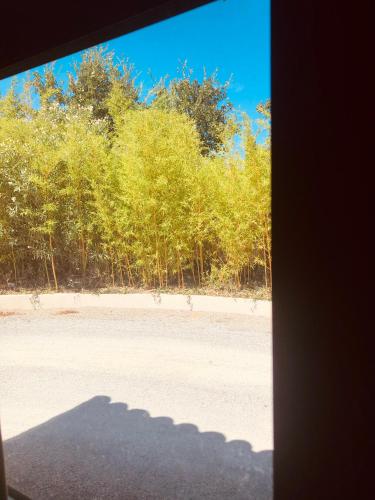 Villa Alba - image 2