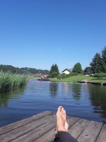  Sonnenalm in Arnfels