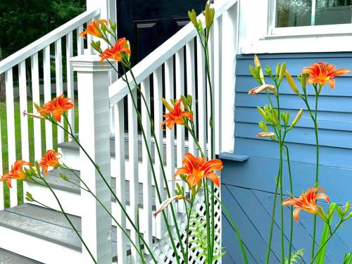Luxury Farm Stay-Bonds Corner Bungalow-Wolf Pine Hollow in Antrim (NH)