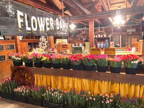 Luxury Farm Stay-Bonds Corner Bungalow-Wolf Pine Hollow in Antrim (NH)