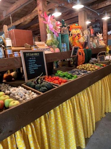 Luxury Farm Stay-Bonds Corner Bungalow-Wolf Pine Hollow in Antrim (NH)