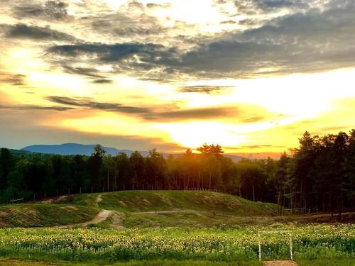 Luxury Farm Stay-Bonds Corner Bungalow-Wolf Pine Hollow in Antrim (NH)