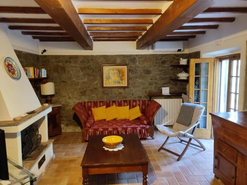 Il Fico di Cortona in Sodo