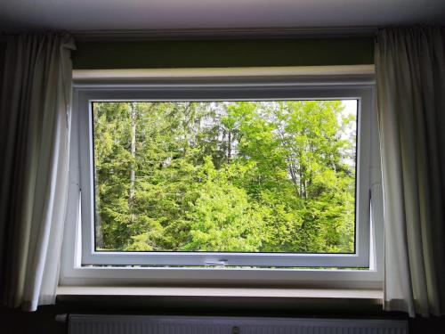 A környék, Apartement Wald-Panorama Fuchsenstein in Spiegelau