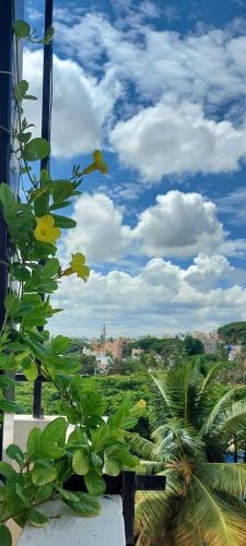 Tree Top
