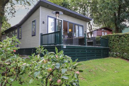 Serendipity Serendipity