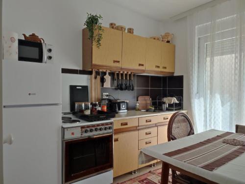 Apartment MILA city center-free parking in Βρανιε