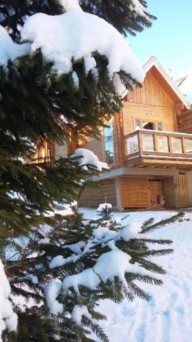 Chalet without Sauna image 8