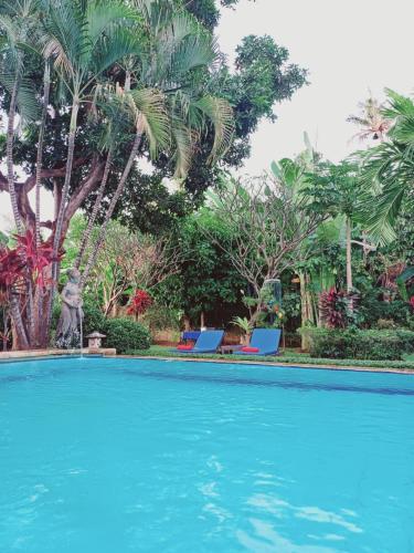 Balinda Rooms & Villa – Lovina Beach, CO