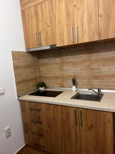 Vila RAA Huși (Vila RAA Husi) in ฮูซี่