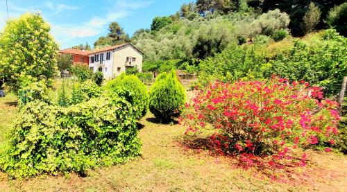 La casa di Simona