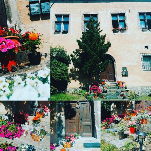 B&B Kremnica - Gothic House Apartments - Bed and Breakfast Kremnica