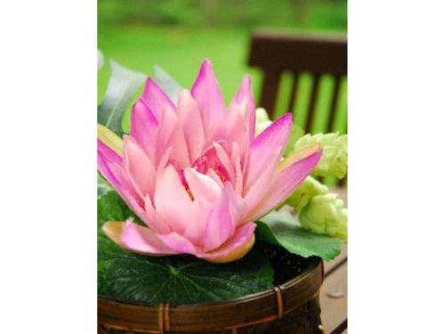 Estivant Club - Vacation STAY 07597v