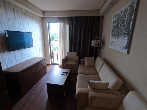 ห้องส่วนกลางสำหรับนั่งเล่น/ดูทีวี, Dream Apartment In Chakvi Land with Sea City and Mountain view in ชาควี