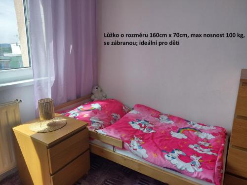 Apartmán v podhůří Krušných hor