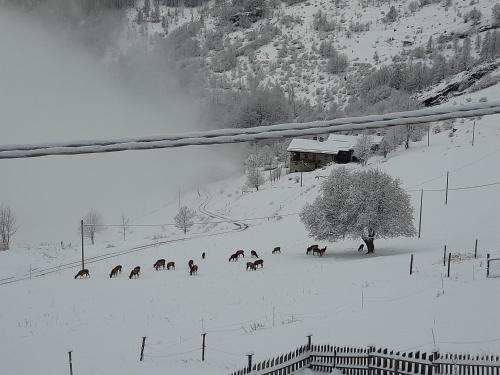Agri-b&b Lou Col 4