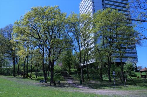 Surrounding environment, Panoramic App A03-5 in Sierksdorf