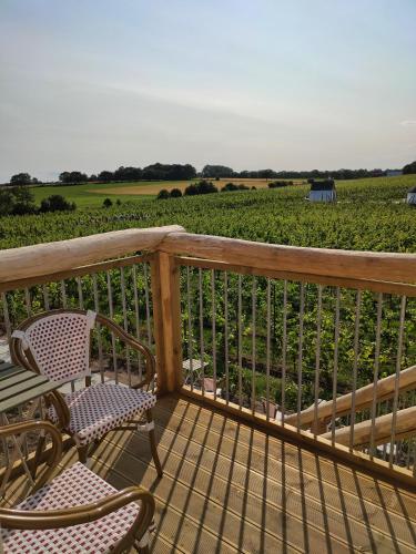 Vingården i Arild (Vingarden i Arild) in Arild