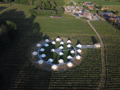 Arilds Vingard