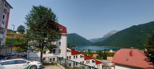 KULIC, Plužine