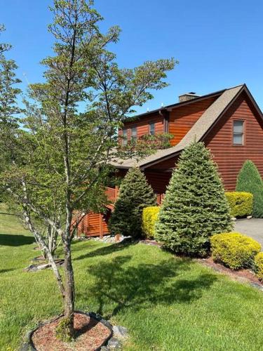 Beautiful Cabin at the New River w/Mountain Views! in Piney Creek, USA