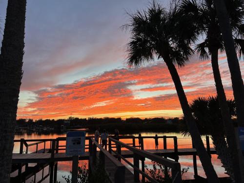 Dolphin Cove Cottage -22 & Pet Friendly! - image 5