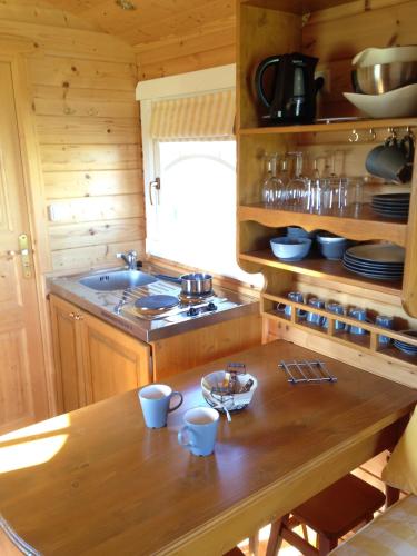 Kitchen, Les Roulottes-Gites de la Ferme de l'Autruche Dromoise in Livron-sur-Drome