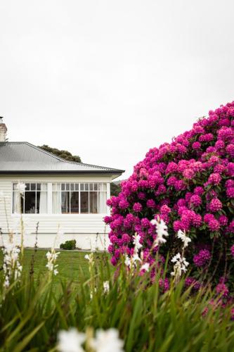 Ocean beach front, 3 Capes Cottage.