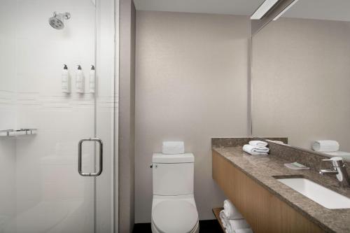 SpringHill Suites by Marriott New York Queens - image 6