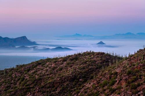 The Ritz-Carlton, Dove Mountain photo 4