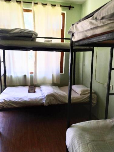 Farm Hostel & Camps – Manali, PA