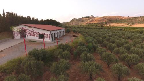  Winery, Vigneto, Weingut - La Pizzuta del Principe in 88816 Strongoli