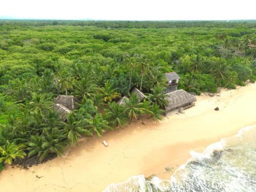 The Alpha Monkey hotel & Tree house in แทนกาลเล